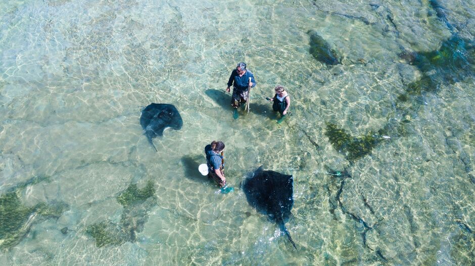 Aerial view of reef