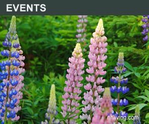 Top NH Events