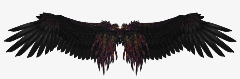 Black Angel Wings Png Background Image - Wings Png Transparent PNG -  960x640 - Free Download on NicePNG