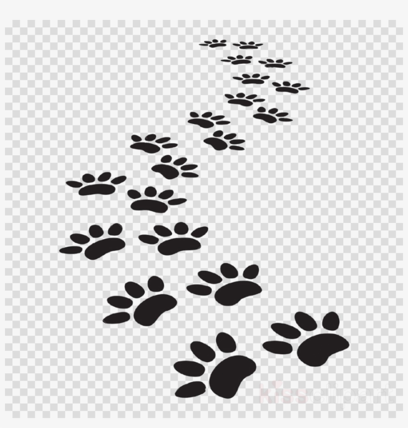 Download Vector Dog Paw Prints Clipart Dog Cat Tiger - vrogue.co