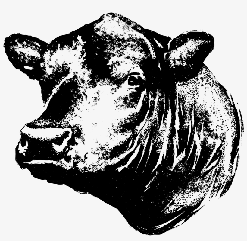 Lista 92+ Foto Logo De Los Bull De Chicago Mirada Tensa