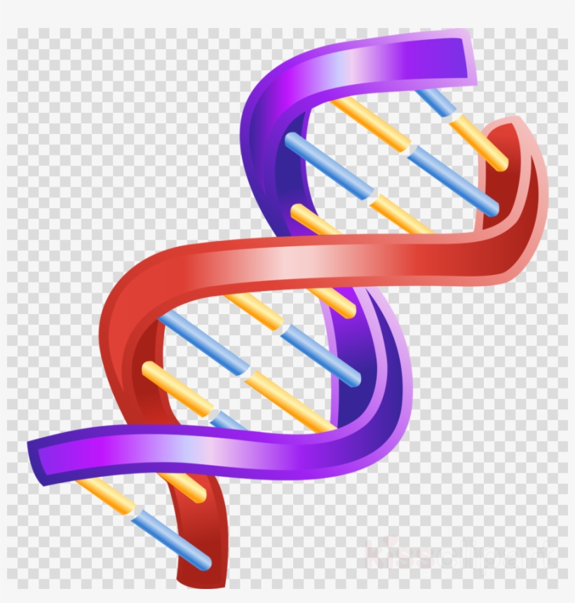 Double Helix Dna Clipart The Double Helix - Double Helix Dna Structure ...