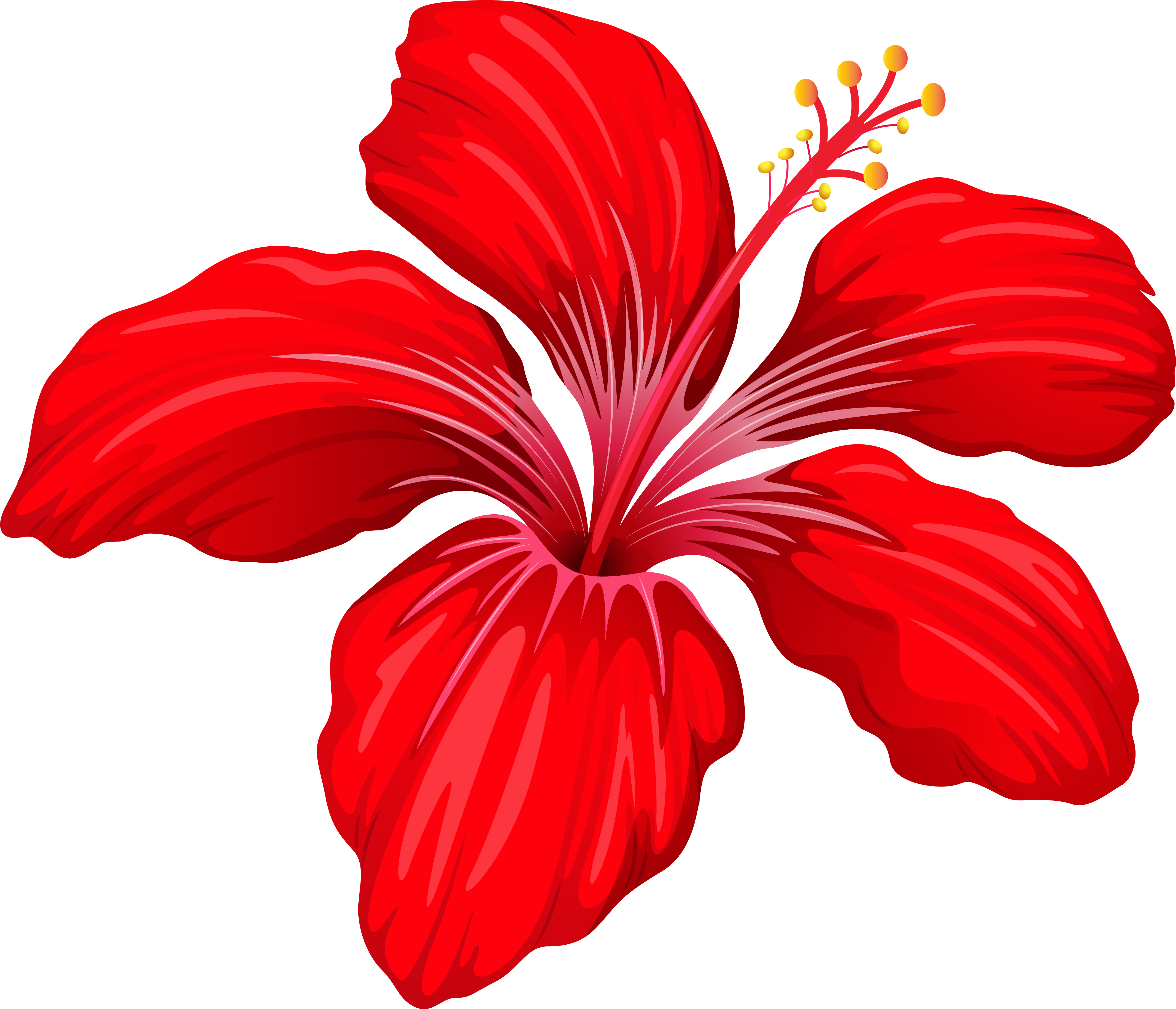 0 Result Images of Hibiscus Flower Png Transparent - PNG Image Collection