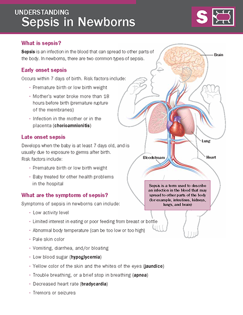 Patofisiologi Sepsis