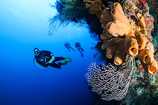 Scube diver exploring underwater