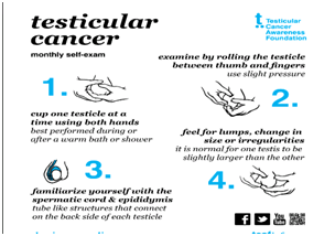 Testicular Cancer: Why You Should Touch Your Balls Today | Nigerian ...