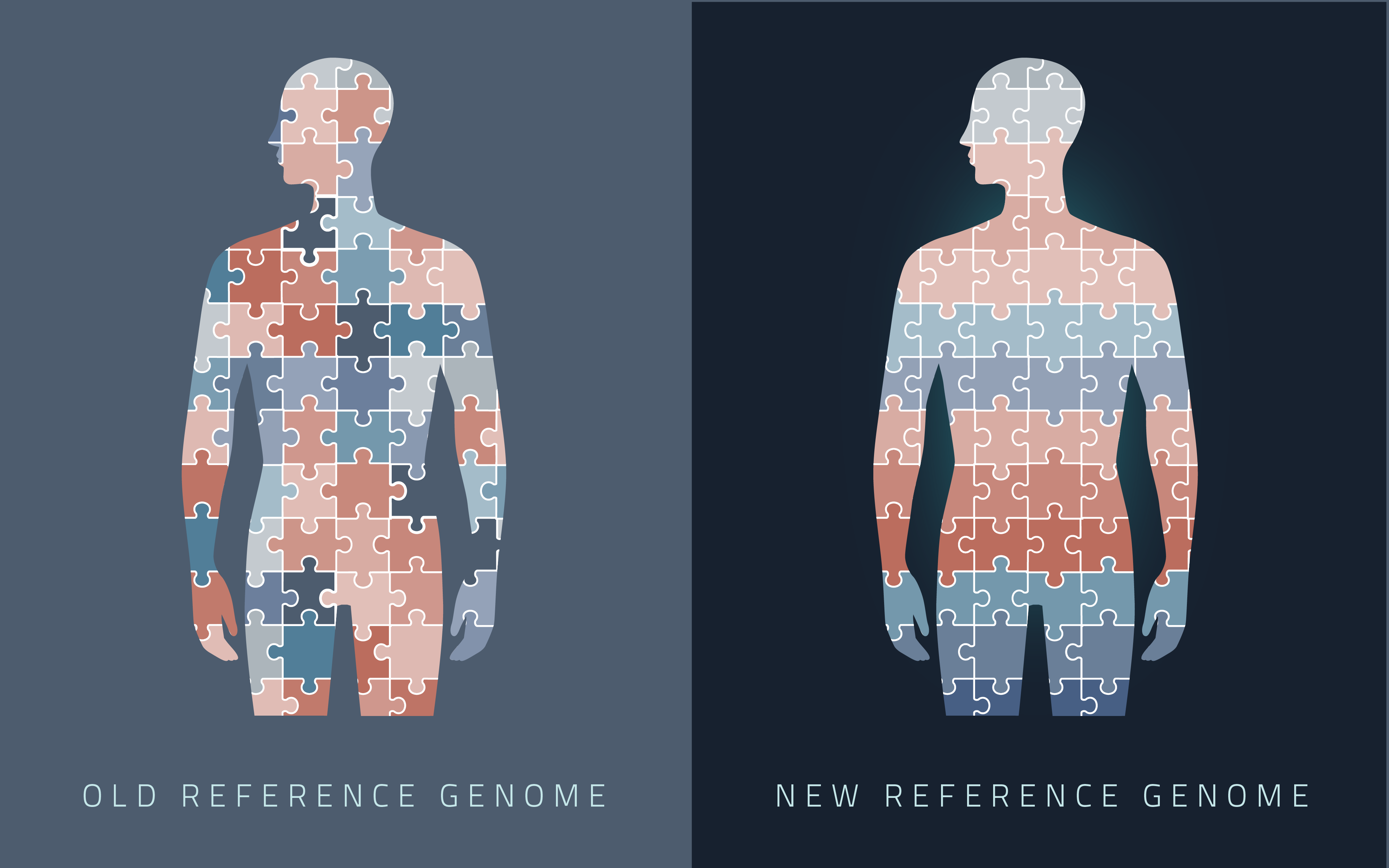 First Complete Human Genome Poised to Strengthen Genetic Analysis, NIST ...