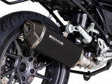 Auspuff Remus Black Hawk BMW R 1250 RS