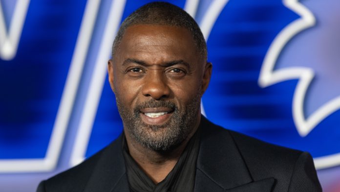 Idris Elba at the premiere of 'Sonic The Hedgehog 3'. CREDIT: Samir Hussein/WireImage via Getty Images.