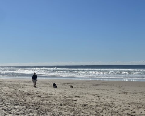 Man and his dogs on Marcus Beach