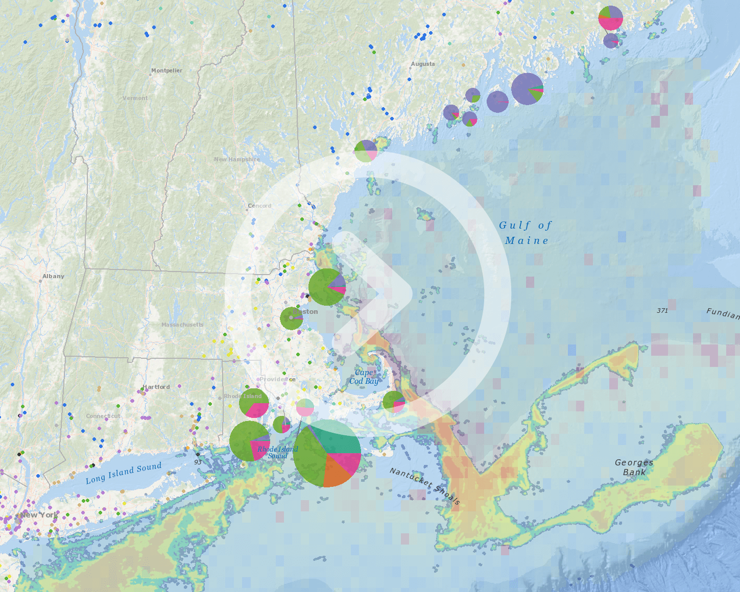 Data Explorer Thumbnail Image