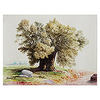 'The Olive' - Watercolour Tree Painting from Peruvian Artist