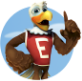 Eddie Eagle GunSafe® Program