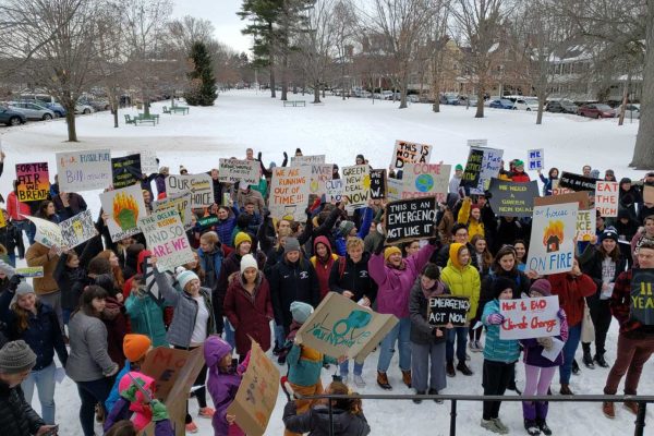 people standing on town mall holding climate action signs