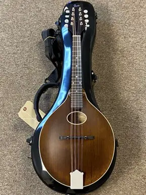  Mandolin