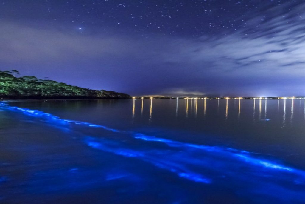 Glowing blue water in a bioluminescent bay