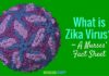 what is zika disease