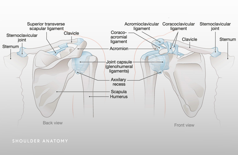 Shoulder Surgery Schaumburg - Thomas Obermeyer, MD