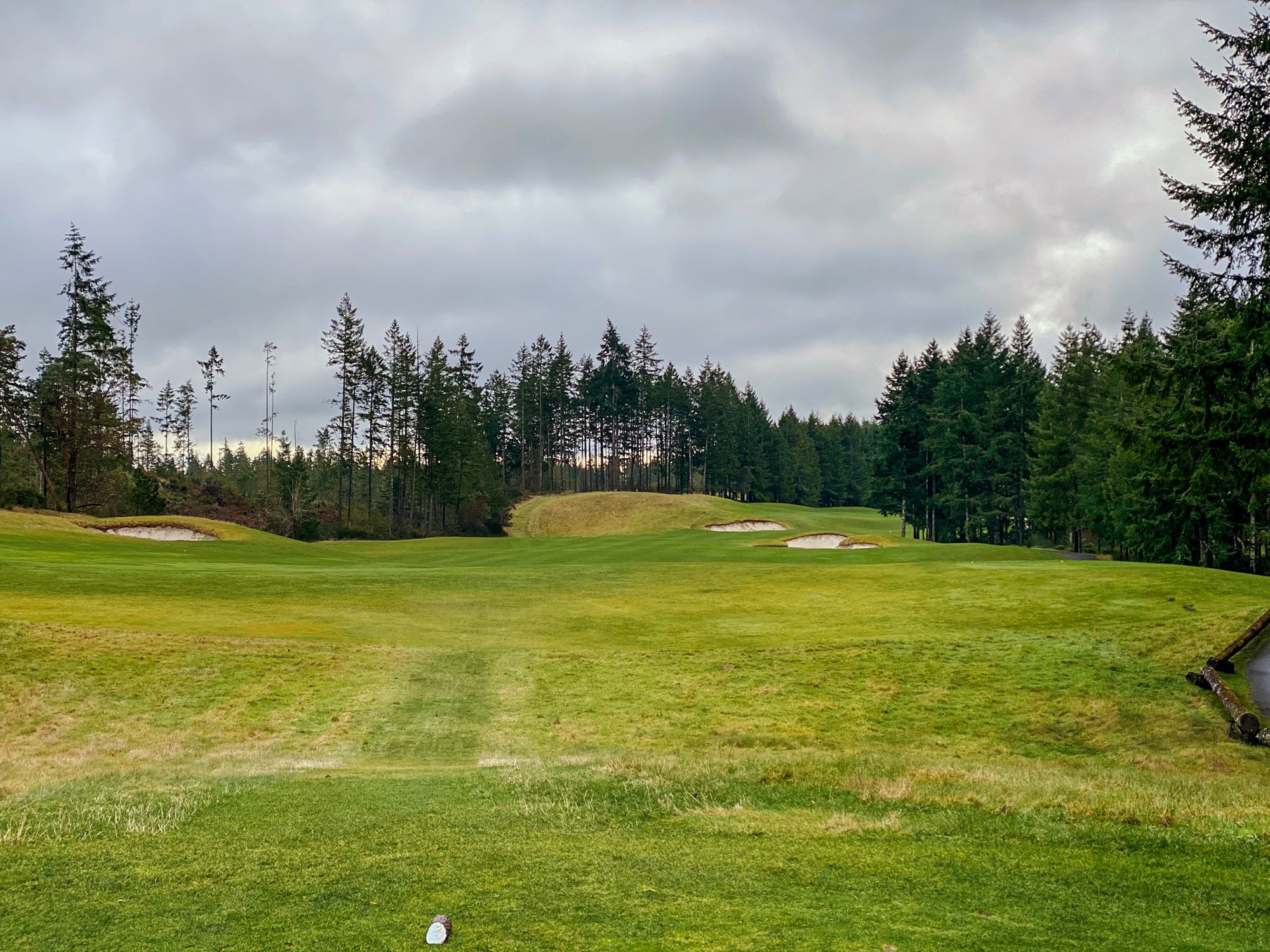 Trophy Lake offers tranquility, PNW beauty, and spacious fairways