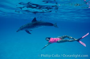 Atlantic spotted dolphin, Olympic swimmer Mikako Kotani, Stenella frontalis