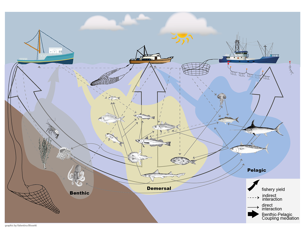 Dynamics of Ecosystems and Computational Oceanography | OGS | Istituto ...