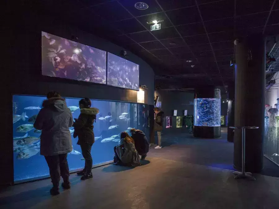 L'aquarium de Paris