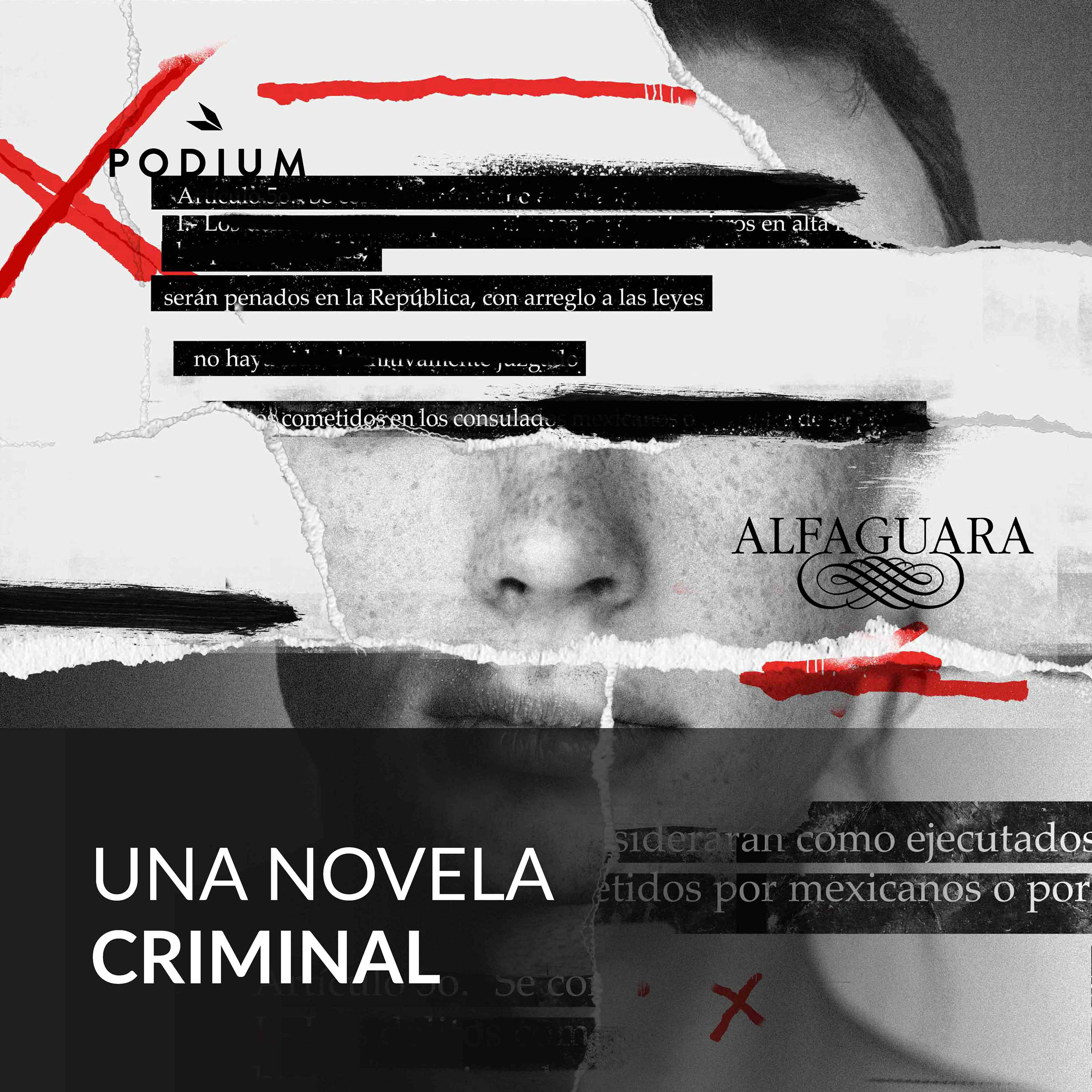 Imagen de Una novela criminal