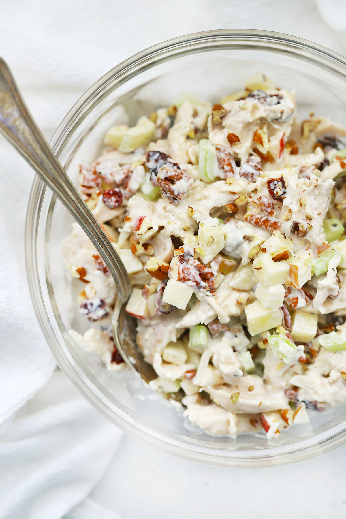 Overhead view of a freshly mixed bowl of Apple Cranberry Chicken Salad