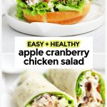 apple cranberry chicken salad on a gluten-free bun and in a gluten-free wrap