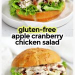 apple cranberry chicken salad sandwiches on gluten-free buns