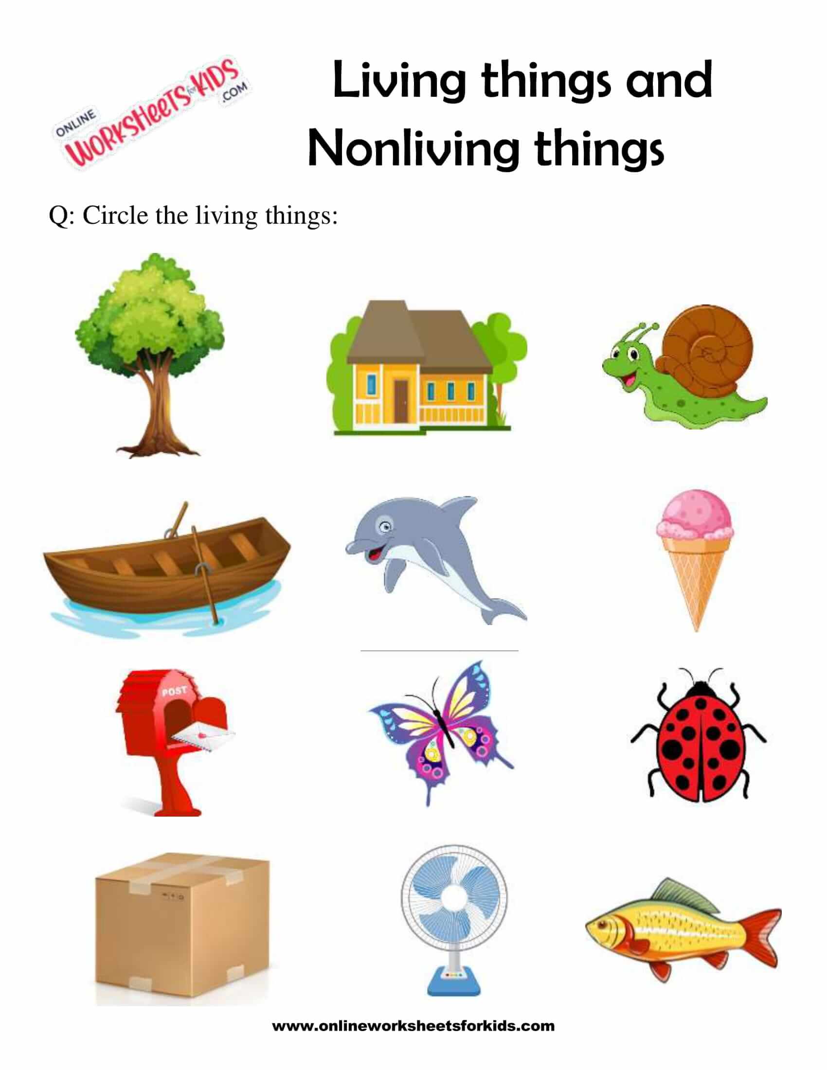 Living And Non Living Things Worksheet