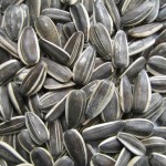 Photos of Sunflower Seed