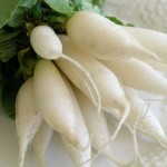 Pictures of Radish