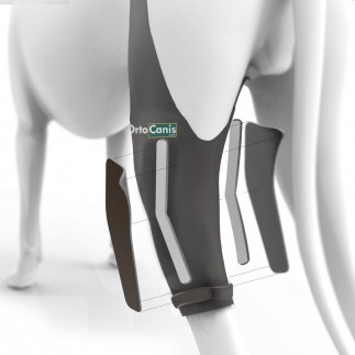 buy Knee immobilizer for dogs - Dog's hind leg