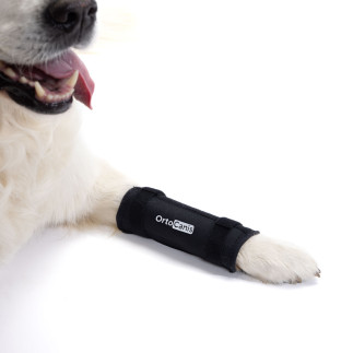 buy Dog carpal brace - Technical assistance