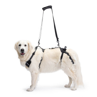 buy Full Support Harness for dog - Technical assistance