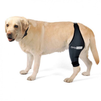 buy Dog Knee Brace - Technical assistance