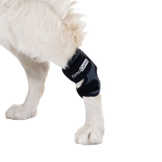 buy Hock Wrap - Joint protectors for dogs