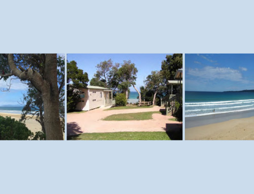 Waratah Bay Caravan Park – Business Review and Future Development Plan