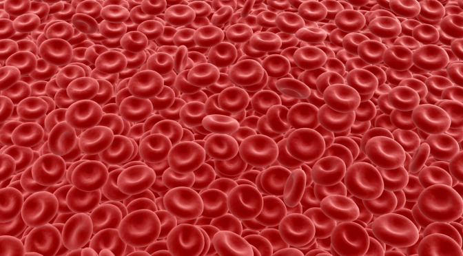 red blood cells