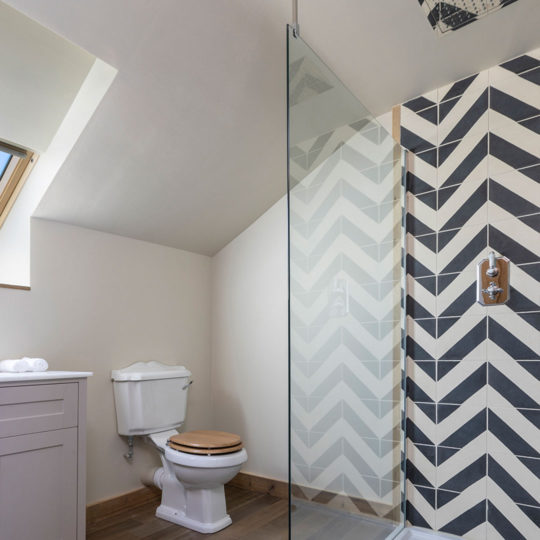 Black cross stripe encaustic cement tiles in shower cubicle