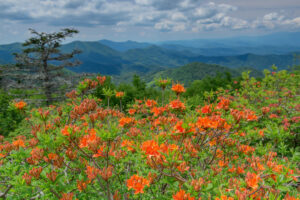 Appalachian Mountains