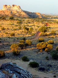 Australian Desert