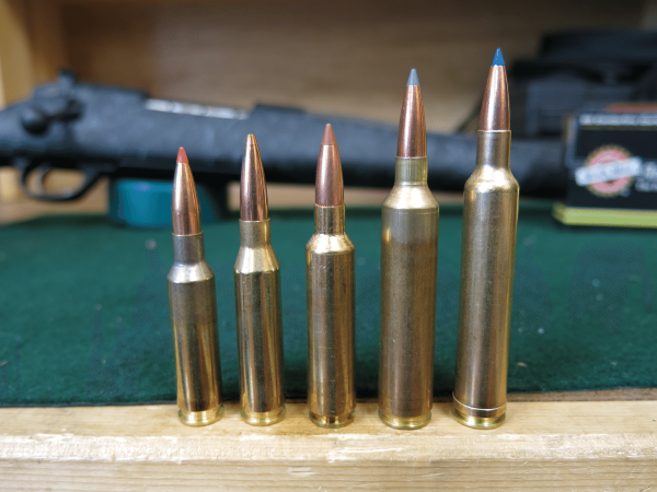 Carmichel's 6.5 Leopard and Other 6.5 Cartridges That Never Made It ...