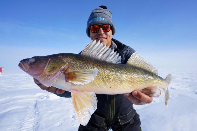 angler holding up giant walleye.