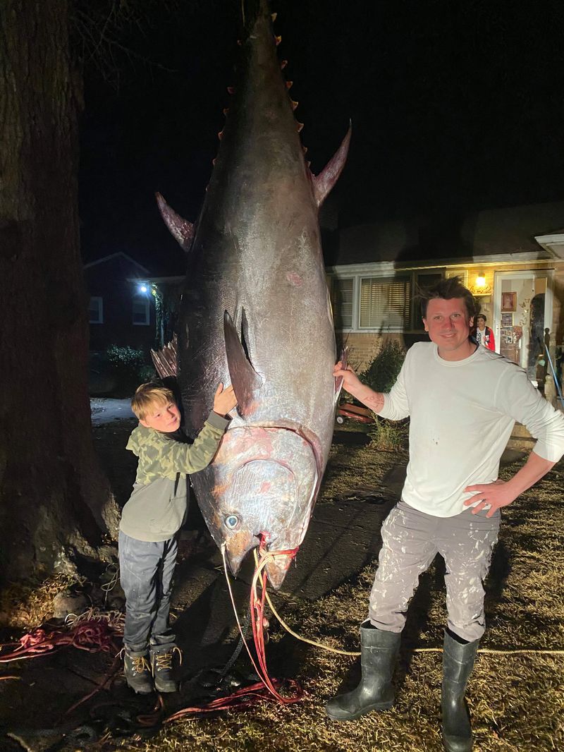 Giant Bluefin Tuna