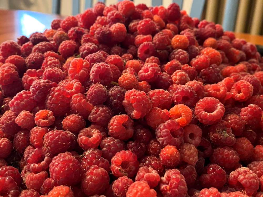 Raspberries