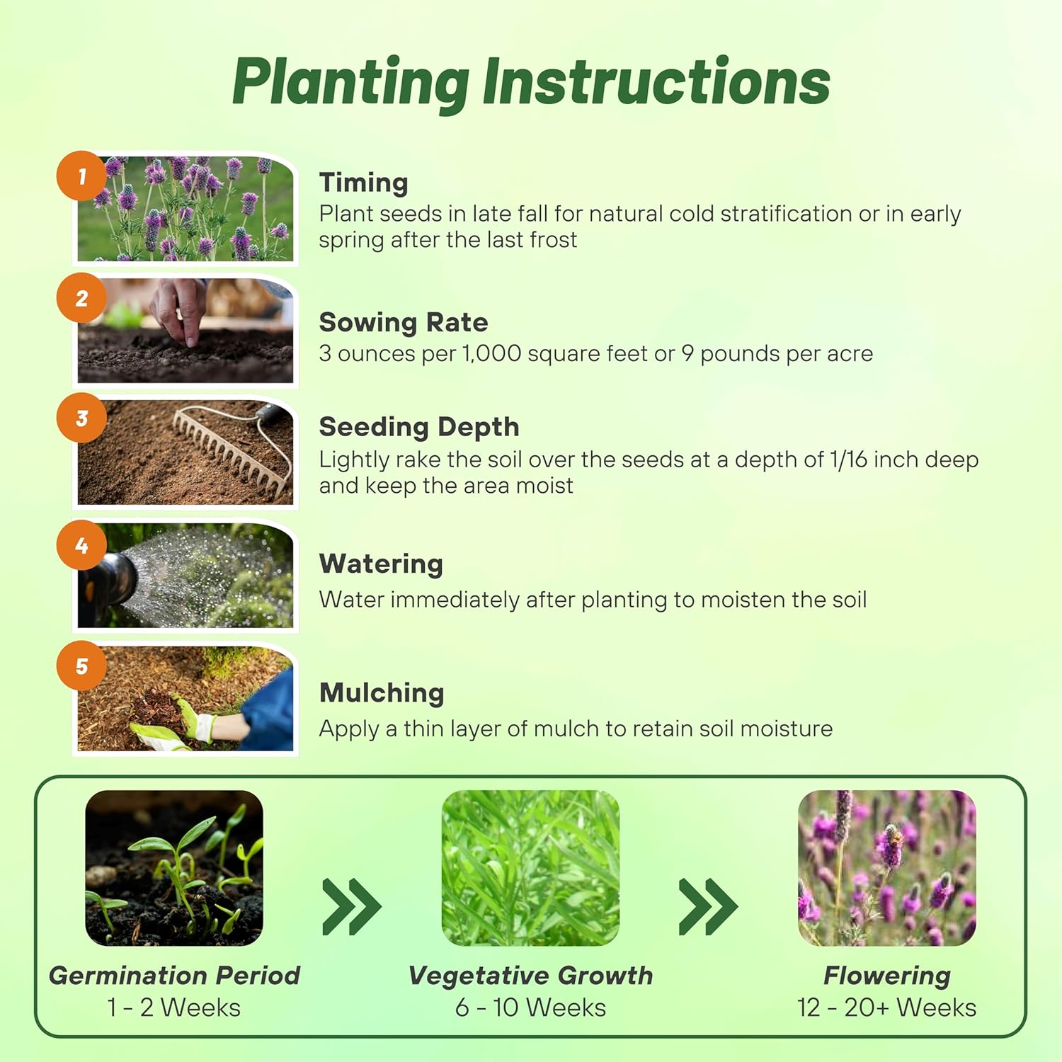 Purple Prairie Clover Planting Directions