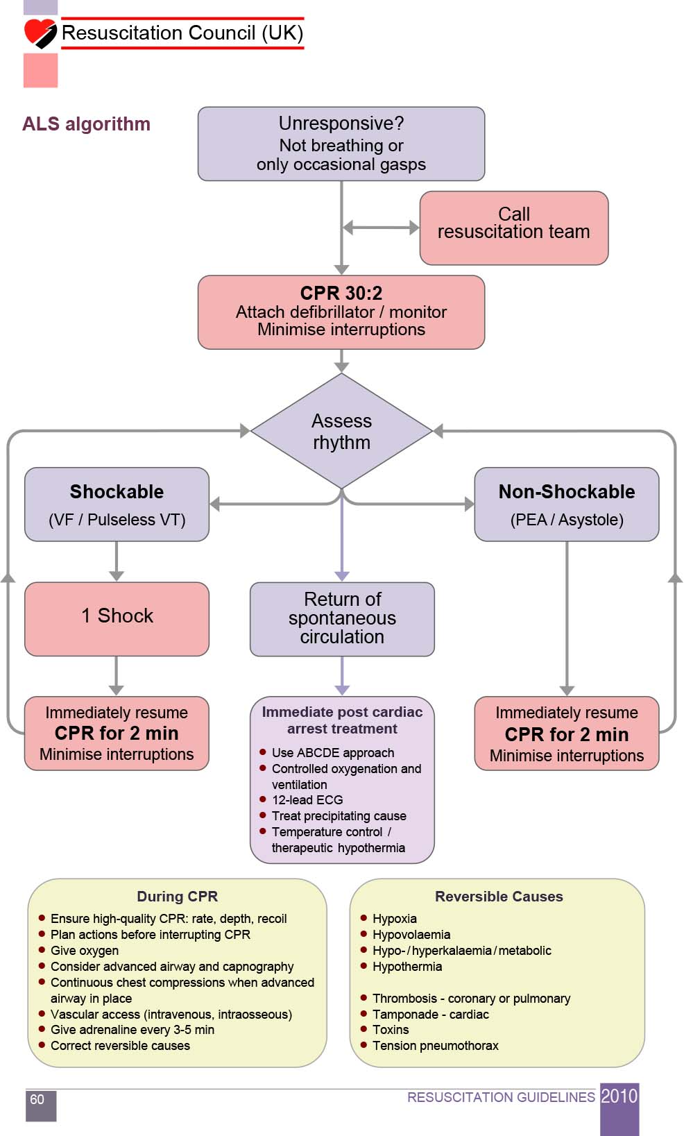 Ventricular Fibrillation Algorithm