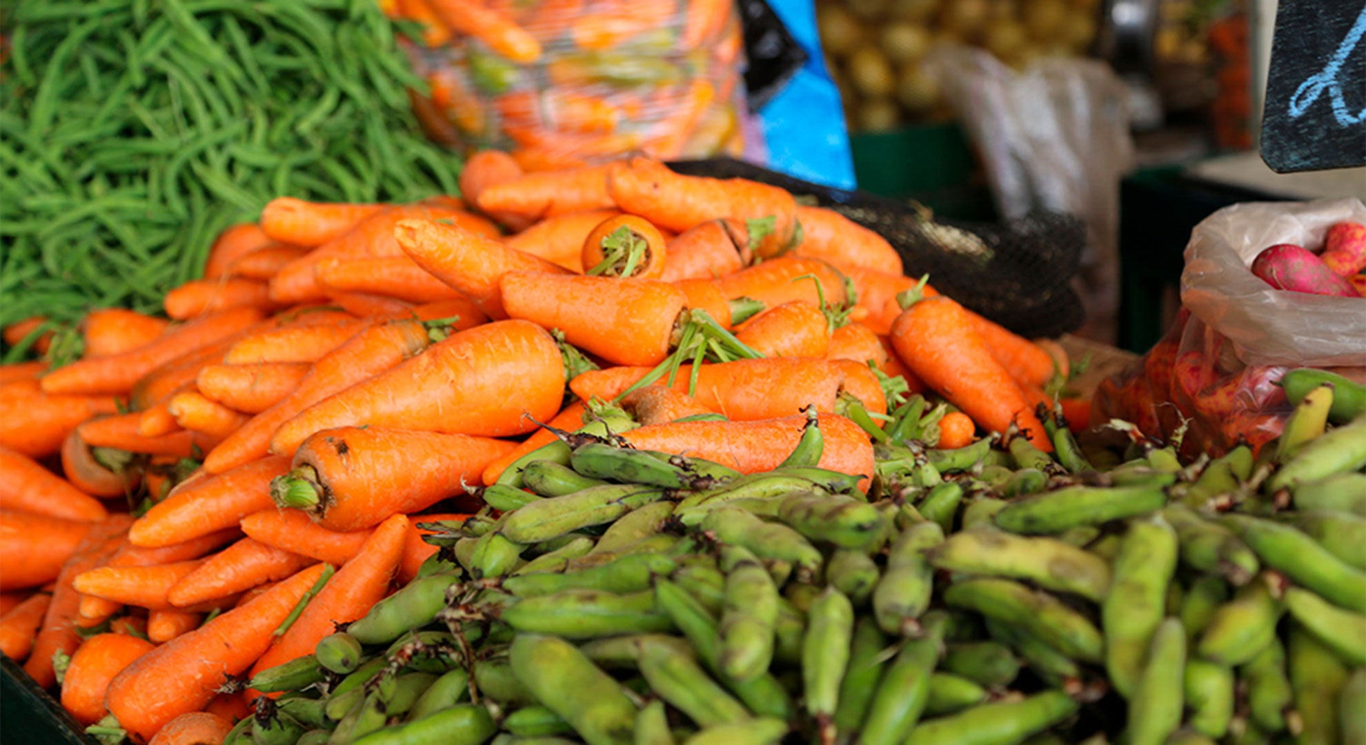 alimentação saudável hortaliças